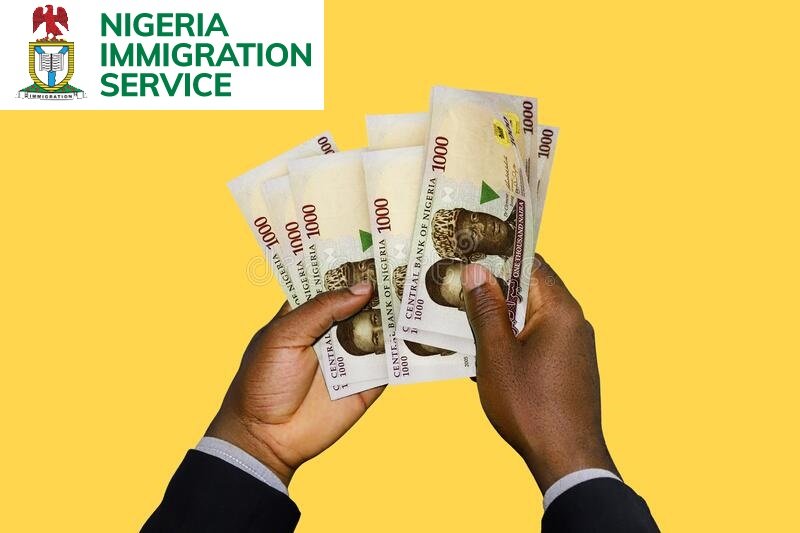 Nigeria Immigration Salary Structure
